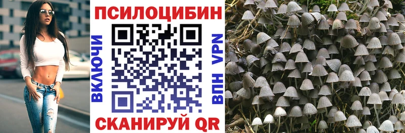где можно купить наркотик  Воткинск  Галлюциногенные грибы мухоморы 