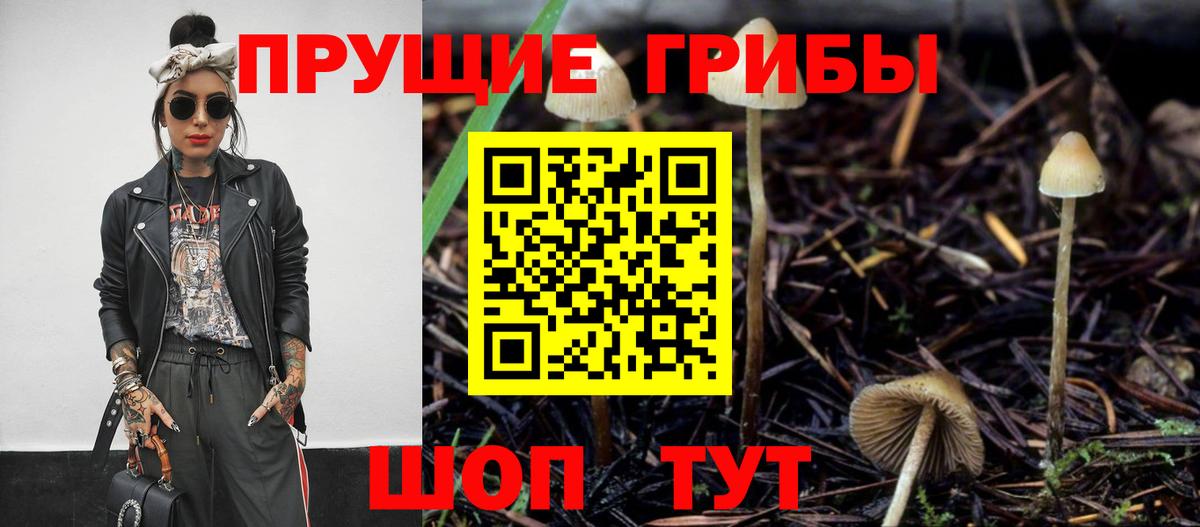 Псилоцибиновые грибы Magic Shrooms Воткинск